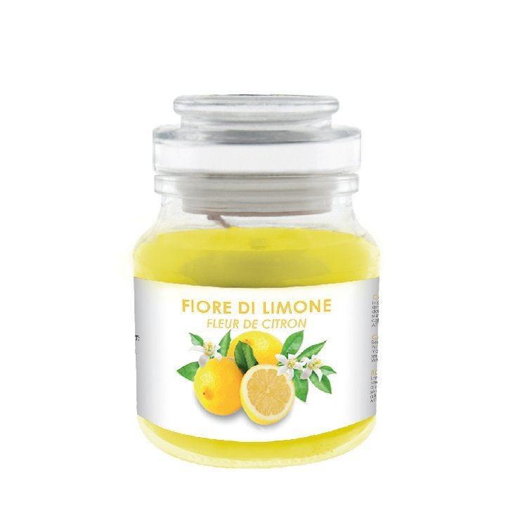 Candela profumata Giara, Fiore di Limone - Kōdō.boutique